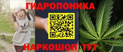прущие грибы Комсомольск-на-Амуре