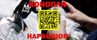 прущие грибы Комсомольск-на-Амуре