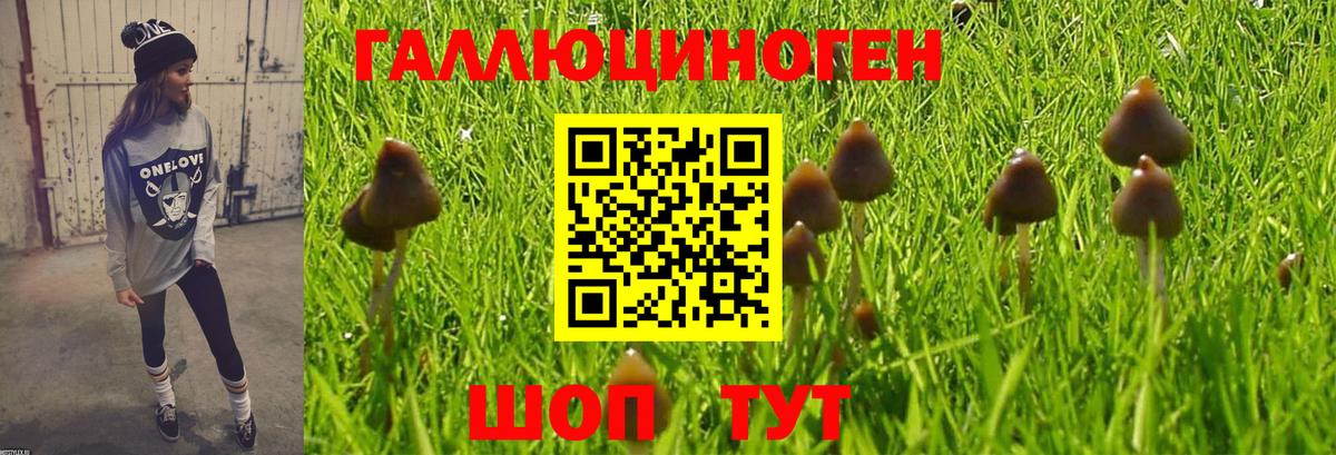 Киреевск  наркота  Вход с VPN  Галлюциногенные грибы Magic Shrooms  Псилоцибиновые грибы Cubensis 